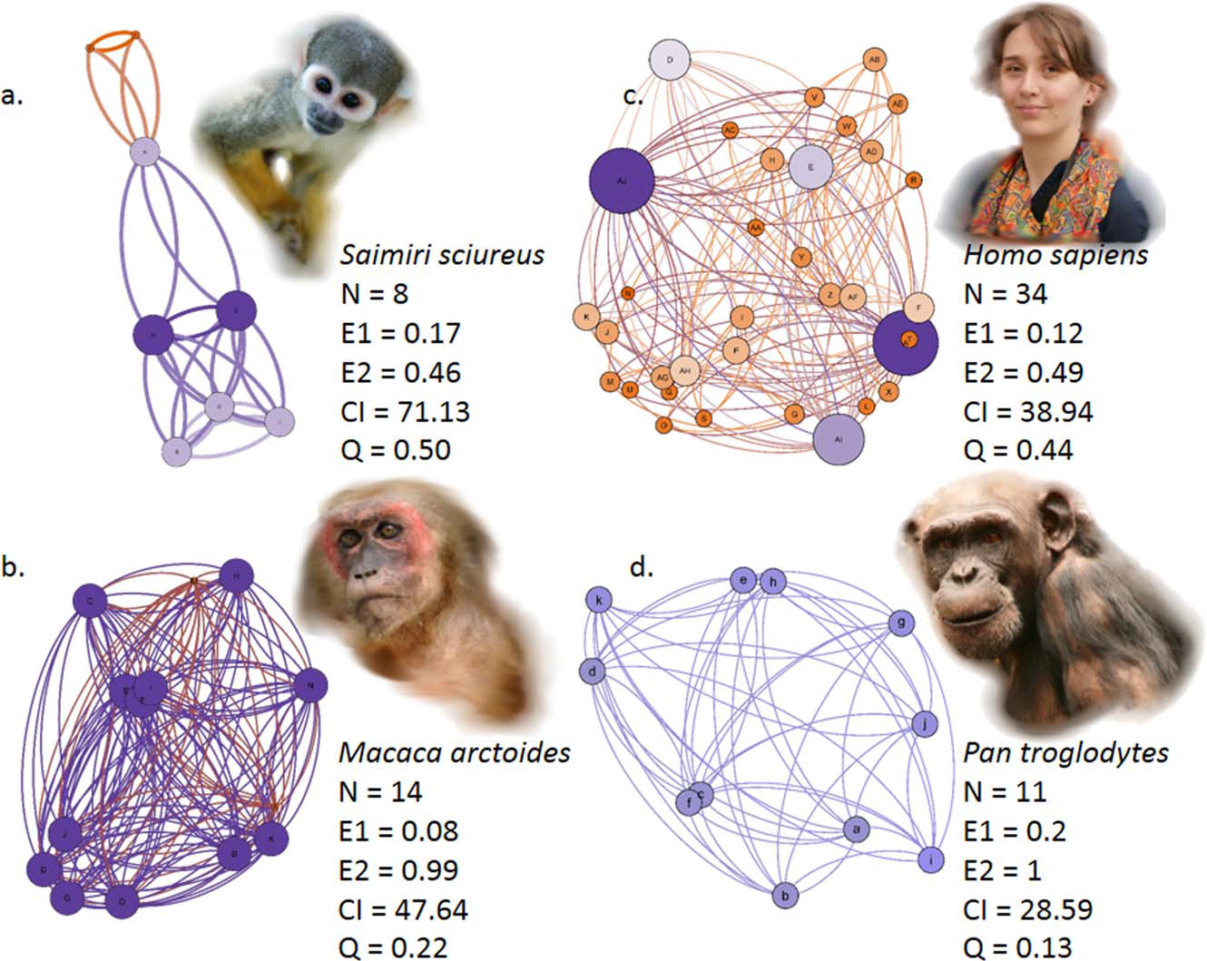 Network of different species